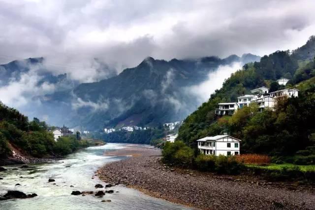 雨后盛放