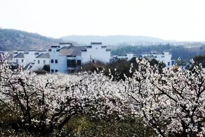杨超越：演技之路的坎坷与逆袭