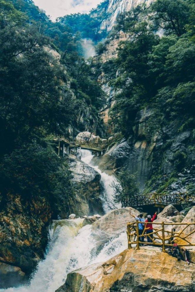 救援怒吼的狮子