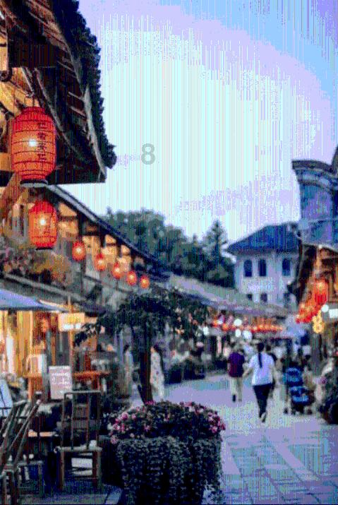 拯救蝙蝠家族